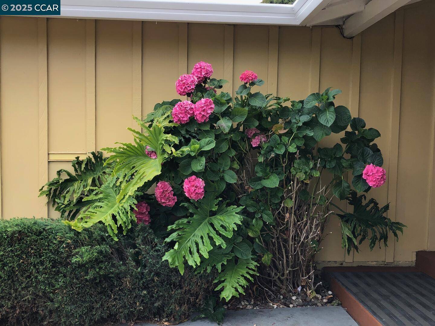 San Pablo, CA 94806,3088 Flannery Road