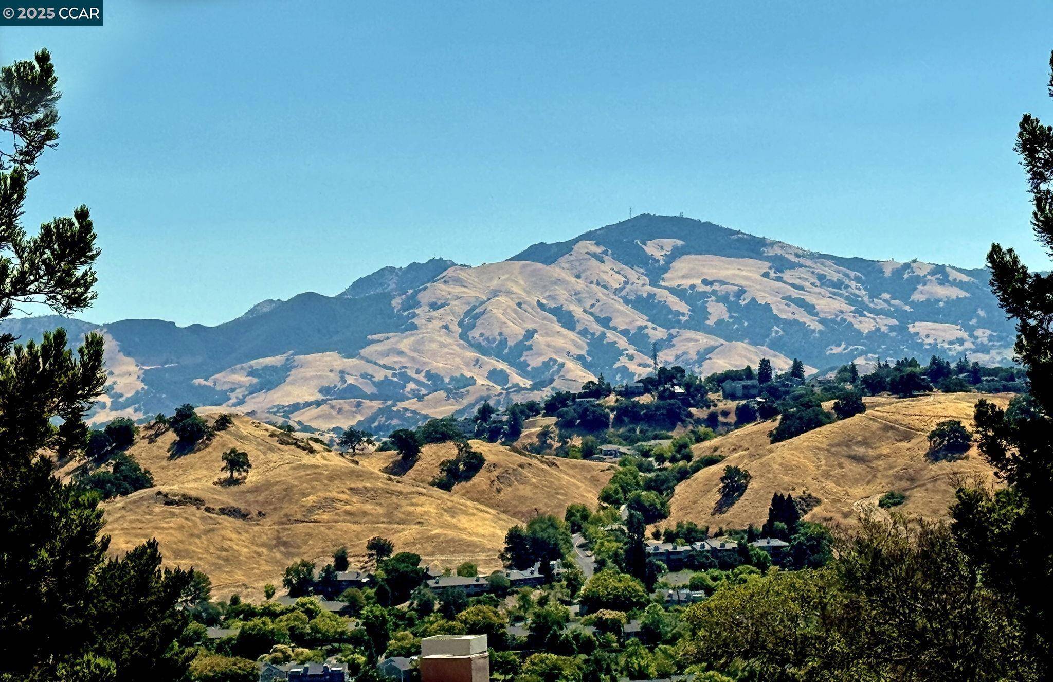 Walnut Creek, CA 94595,1824 Stanley Dollar Dr #4C