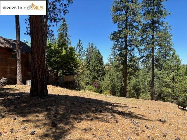 Groveland, CA 95321,19364 Ferretti Rd