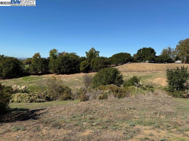 Hayward, CA 94542,24783 Fairview Ave