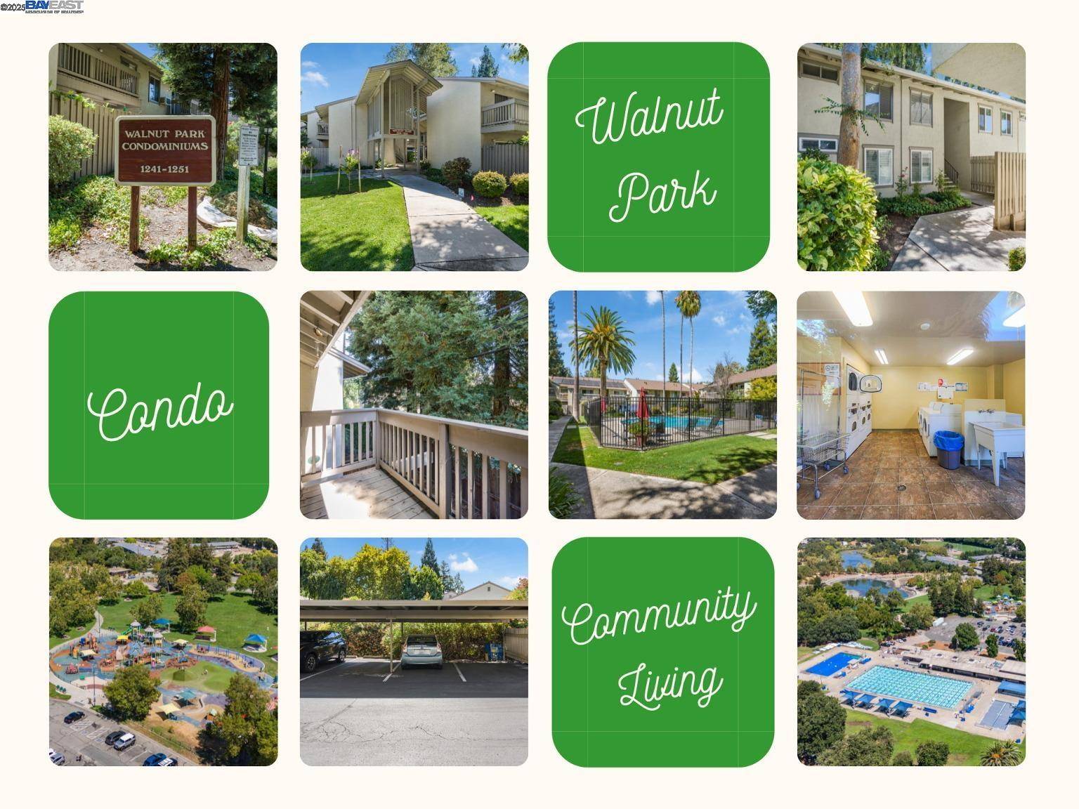 Walnut Creek, CA 94598,1241 Homestead Ave #206