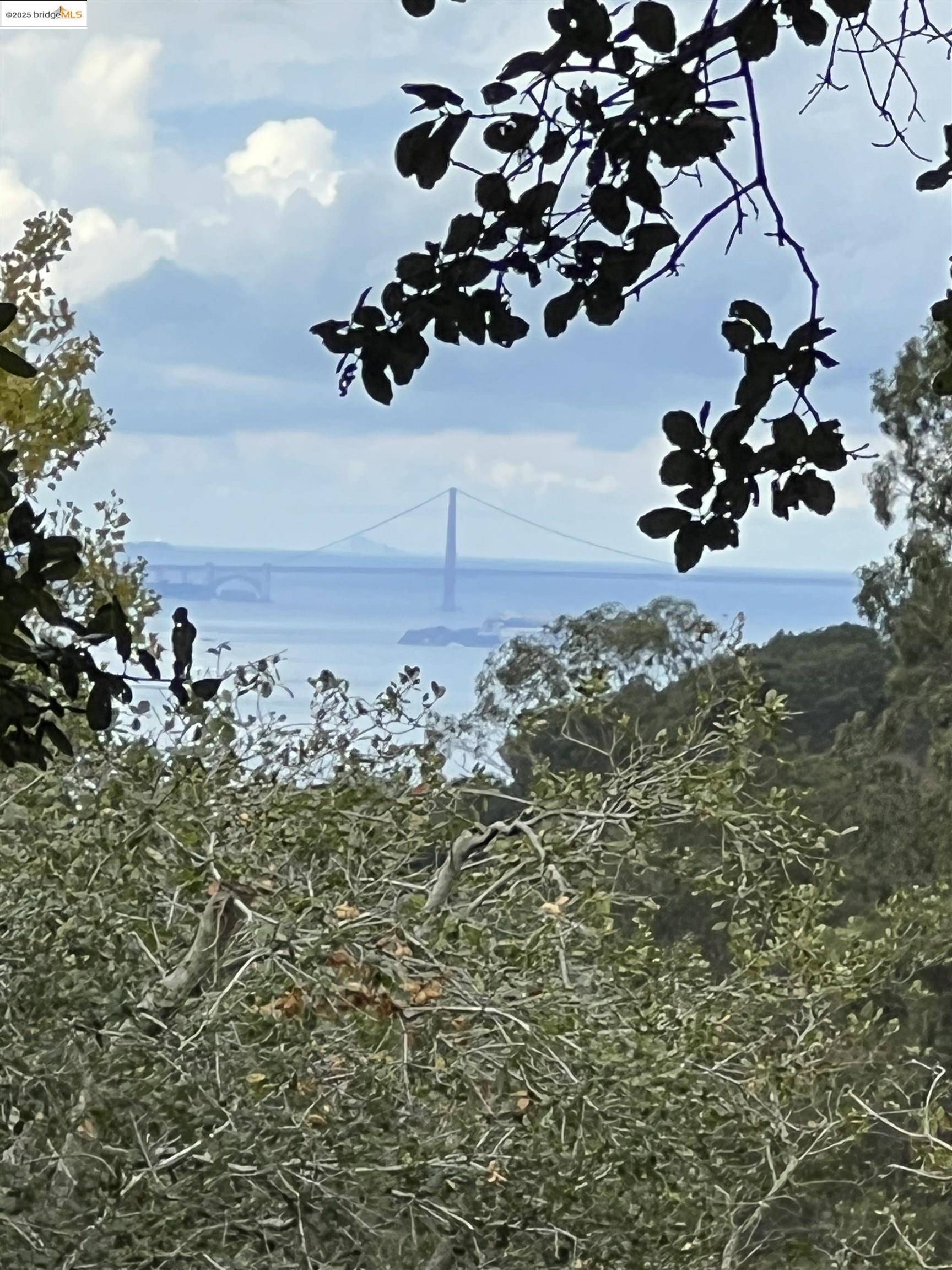 Berkeley, CA 94705,67 Gypsy Ln