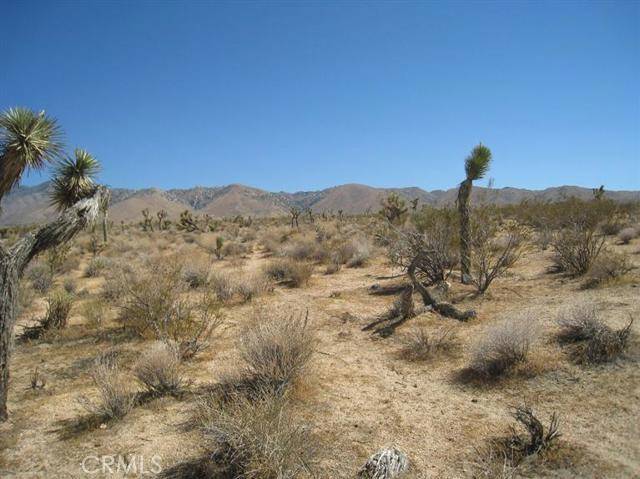 Apple Valley, CA 92307,0 APN 0435 311 55 0000 Road