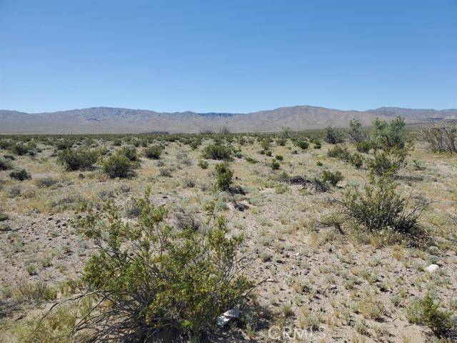 Newberry Springs, CA 92365,0 Autumn Leaf Road