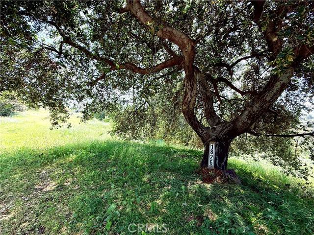 Glendora, CA 91741,1826 Bluebird Road