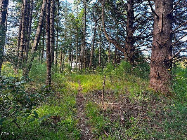 Mendocino, CA 95460,10435 Clark Street