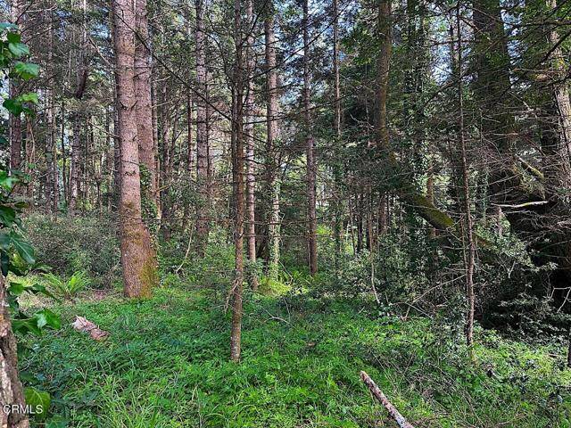 Mendocino, CA 95460,10435 Clark Street