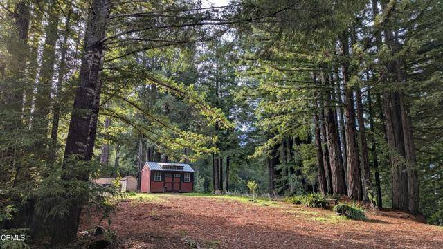 Philo, CA 95463,19800 Appaloosa Way