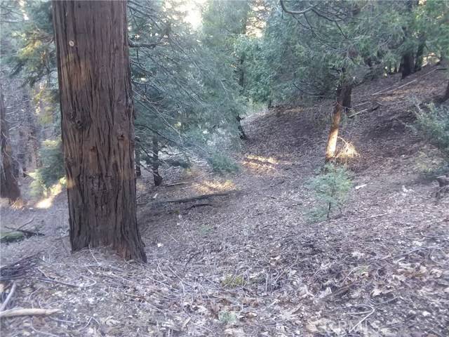 Cedarpines Park, CA 92322,0 El valle