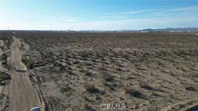 Phelan, CA 92371,0 Cactus