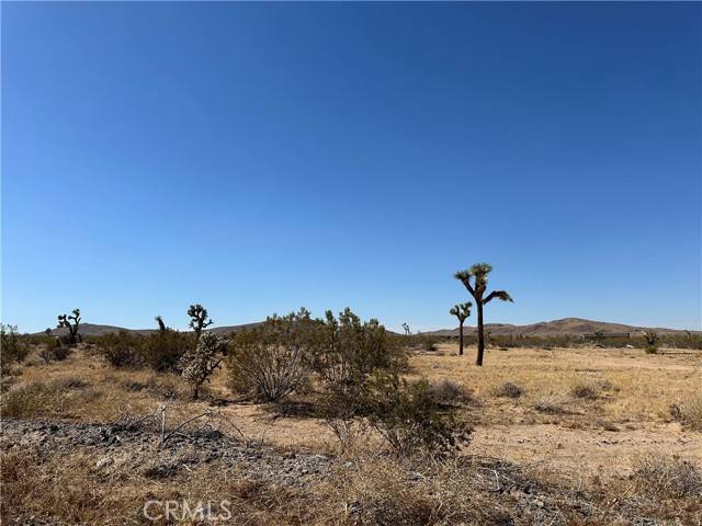 Joshua Tree, CA 92252,0 Aberdeen Drive