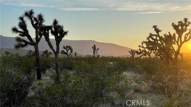 Palmdale, CA 93591,0 Vac/Llano Cut Off/Vic 180th St E