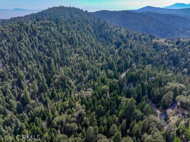 Lake Arrowhead, CA 92352,29183 Pigeon Hawk Lane