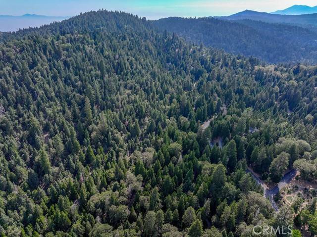 Lake Arrowhead, CA 92352,29191 Pigeon Hawk Lane