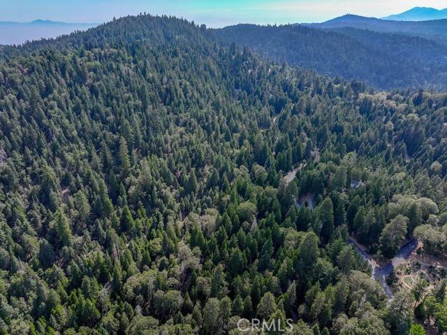 Lake Arrowhead, CA 92352,29207 Pigeon Hawk Lane