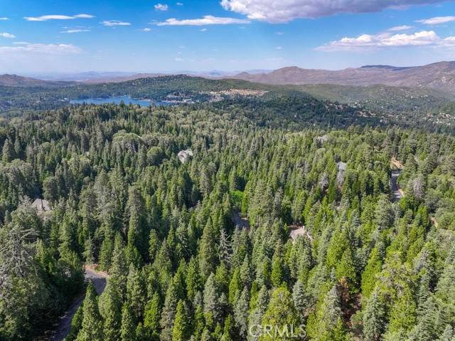 Lake Arrowhead, CA 92352,29207 Pigeon Hawk Lane