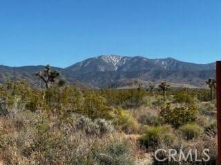 Llano, CA 93544,4 Largo Vista Road