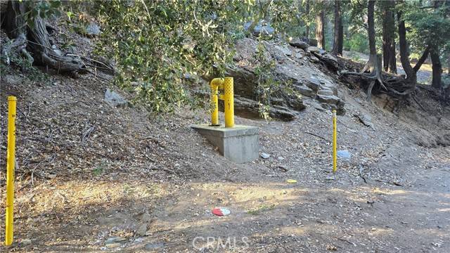 Cedarpines Park, CA 92322,0 Cross Trail