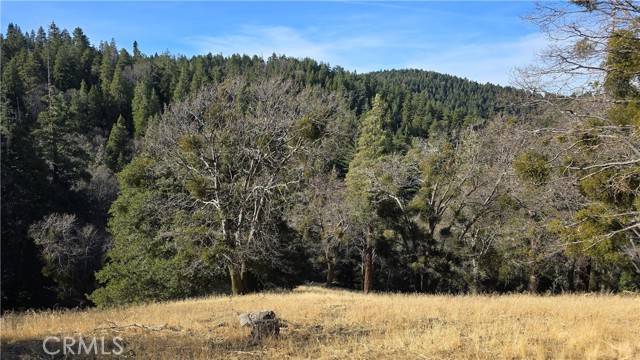 Cedarpines Park, CA 92322,0 Cross Trail