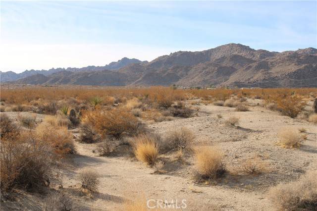 Twentynine Palms, CA 92277,6119 Midway Road