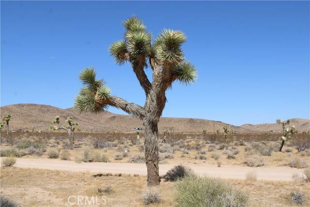 Joshua Tree, CA 92252,60337 Belfair Drive