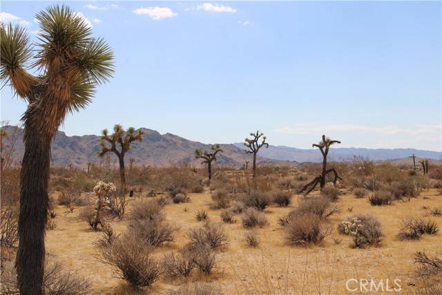 Joshua Tree, CA 92252,60337 Belfair Drive