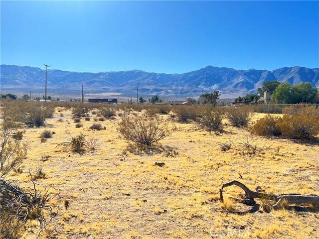 Lucerne Valley, CA 92356,31340 Morninside Street