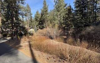 Big Bear City, CA 92314,0 S Saw Mill Drive