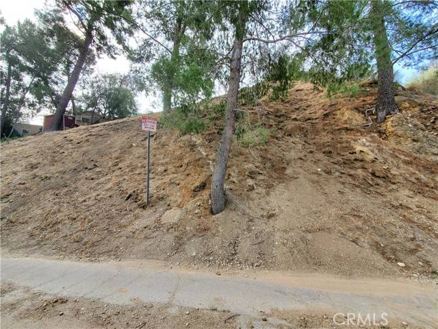 Sunland (los Angeles), CA 91040,7844 Rim Canyon Road