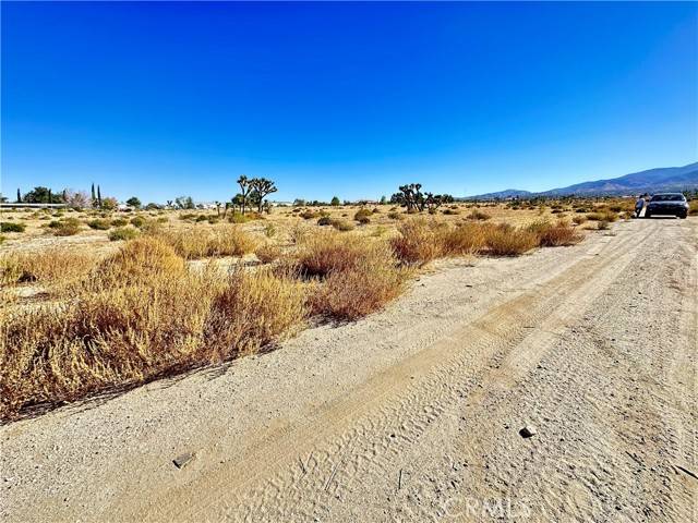 Pinon Hills, CA 92372,12025 Primavera Road