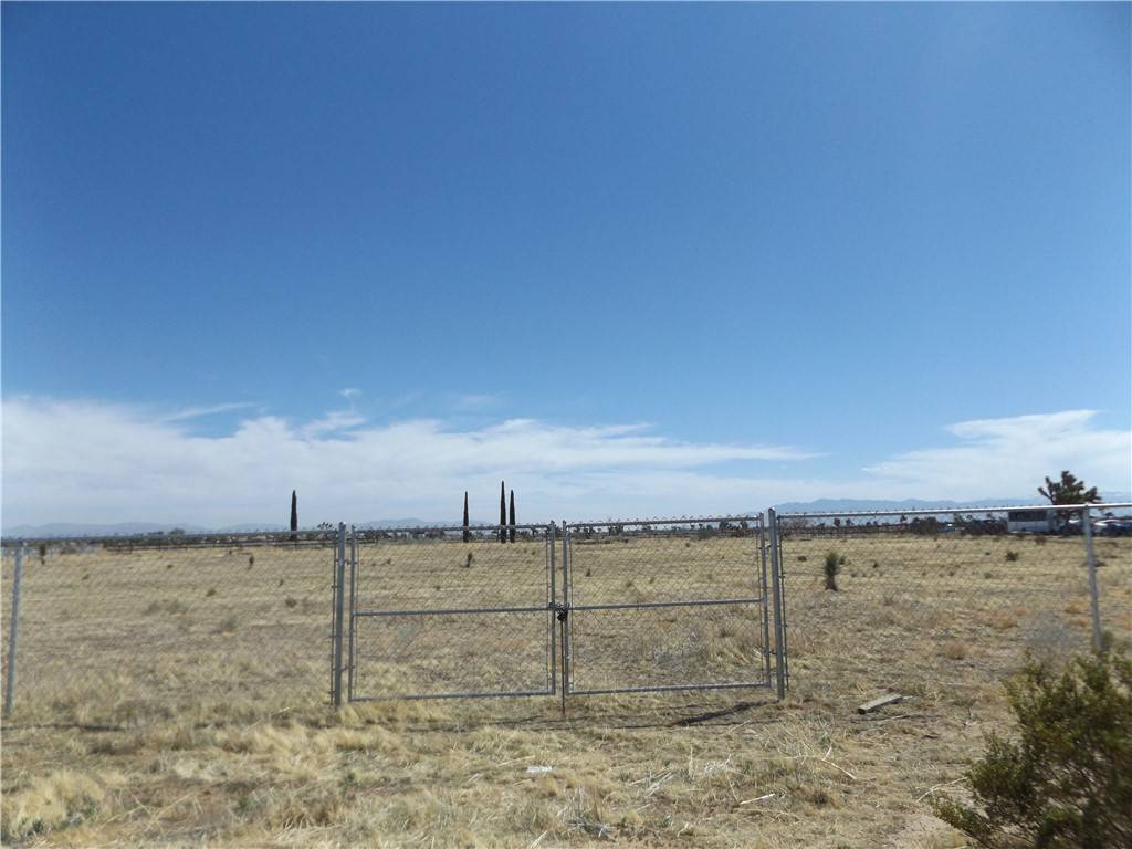 Victorville, CA 92307,0 Bellflower