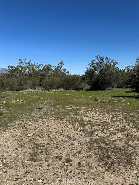 Anza, CA 92539,44805 Chapman Road