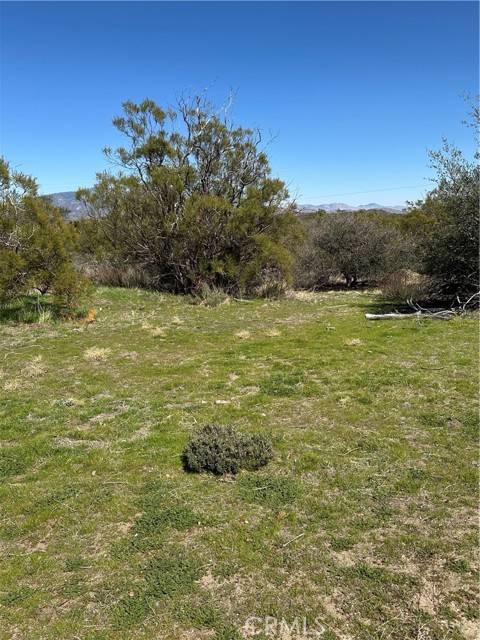 Anza, CA 92539,44805 Chapman Road