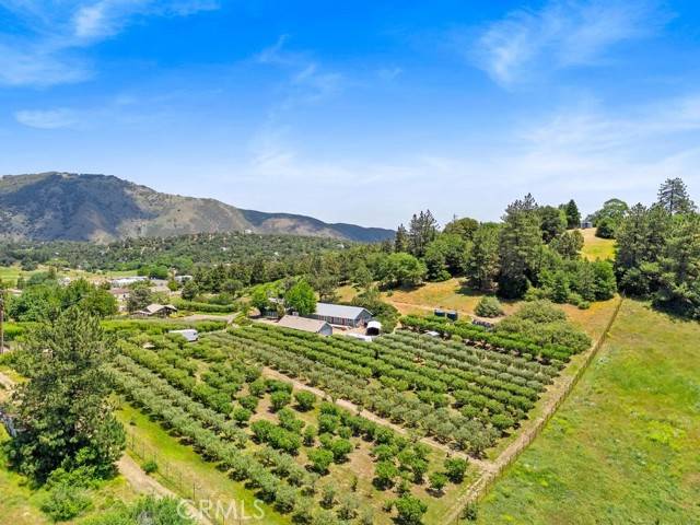Julian, CA 92036,2645 Apple Lane