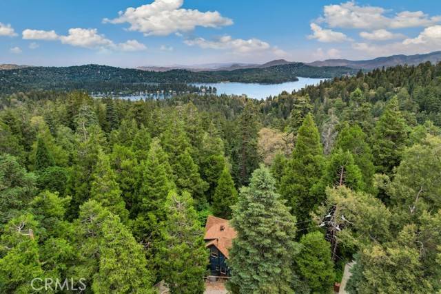 Lake Arrowhead, CA 92352,717 Crest Estates Drive