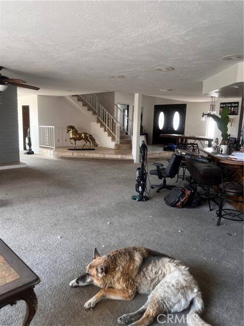 Victorville, CA 92395,13290 Rain Shadow Road
