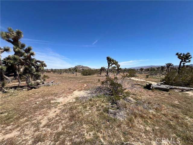 Yucca Valley, CA 92284,0 Paradise View