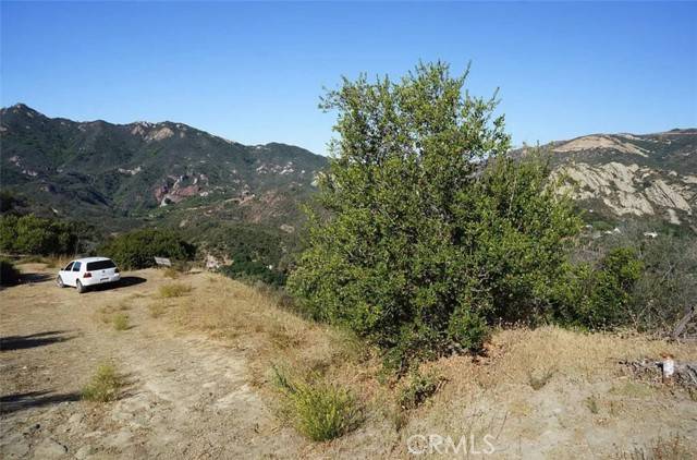 Topanga (los Angeles), CA 90290,1 Mount Prospect Dr.