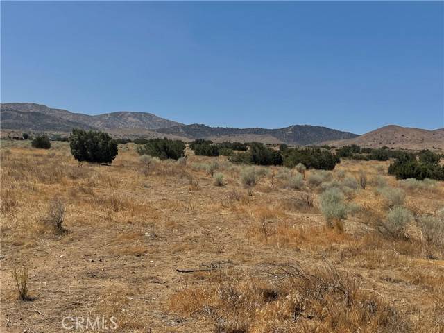 Palmdale, CA 93550,0 Vic Ave V Barrel SPGS