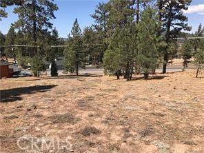 Big Bear City, CA 92315,0 W Big Bear Boulevard