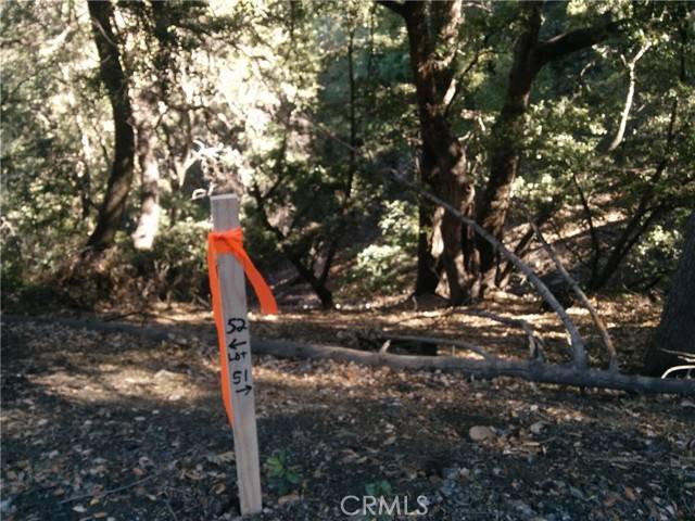 Crestline, CA 92325,0 CHILLION Drive