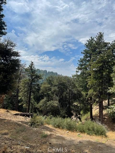 Cedarpines Park, CA 92391,0 Cochran Rd