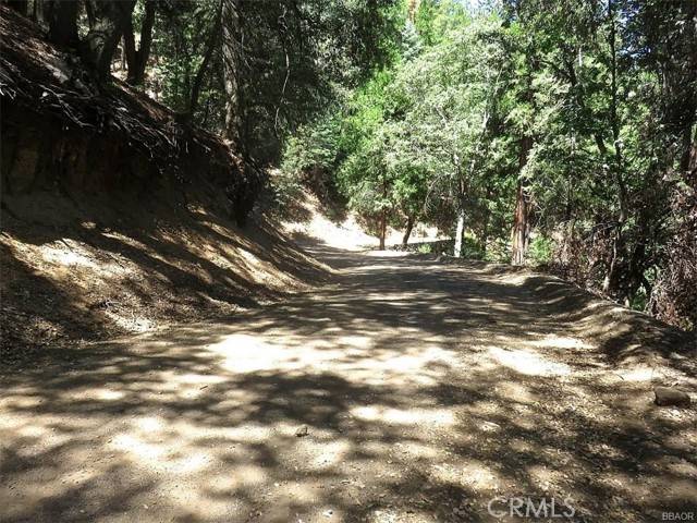 Cedarpines Park, CA 92322,34 Mojave River Road