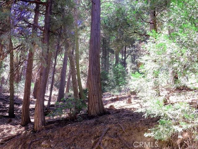 Cedarpines Park, CA 92322,8 Mojave River Road