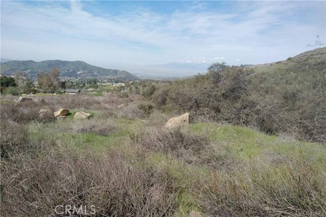 Yucaipa, CA 92399,0 Ivy