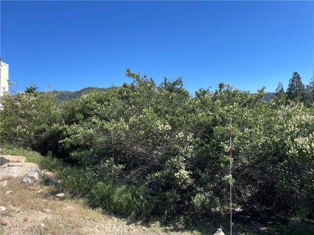 Cedar Glen, CA 92321,17 Lot 17 Lupin Way