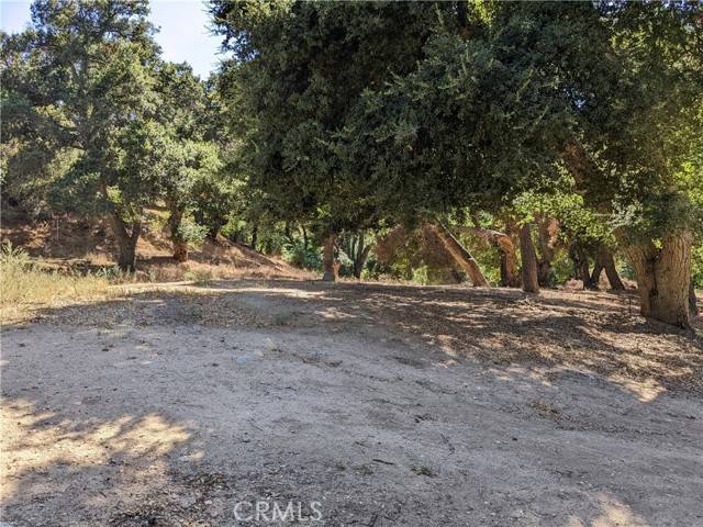 Green Valley, CA 91350,0 San Francisquito Cyn Road