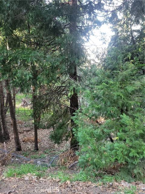 Crestline, CA 92325,0 Bernard Drive