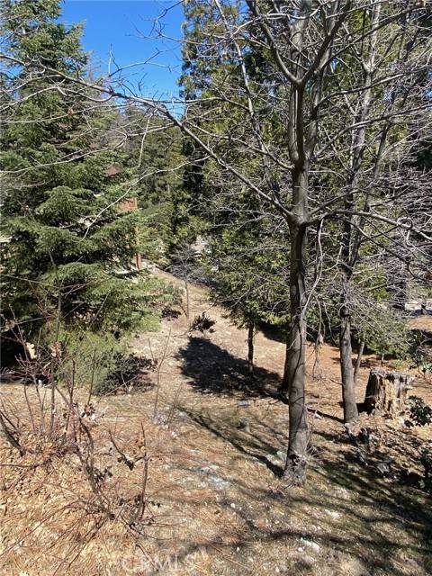 Lake Arrowhead, CA 92323,0 Circle