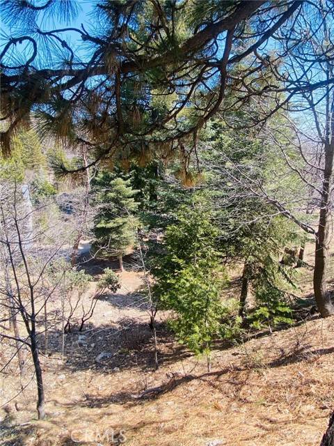 Lake Arrowhead, CA 92323,0 Circle